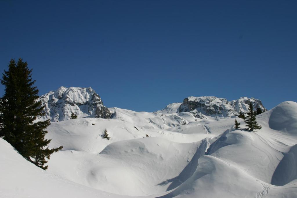 Madame Vacances Les Chalets Du Praz La Plagne Exterior foto
